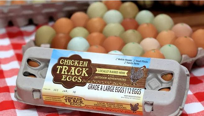Dozen Free Range